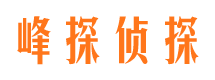 沙河市侦探